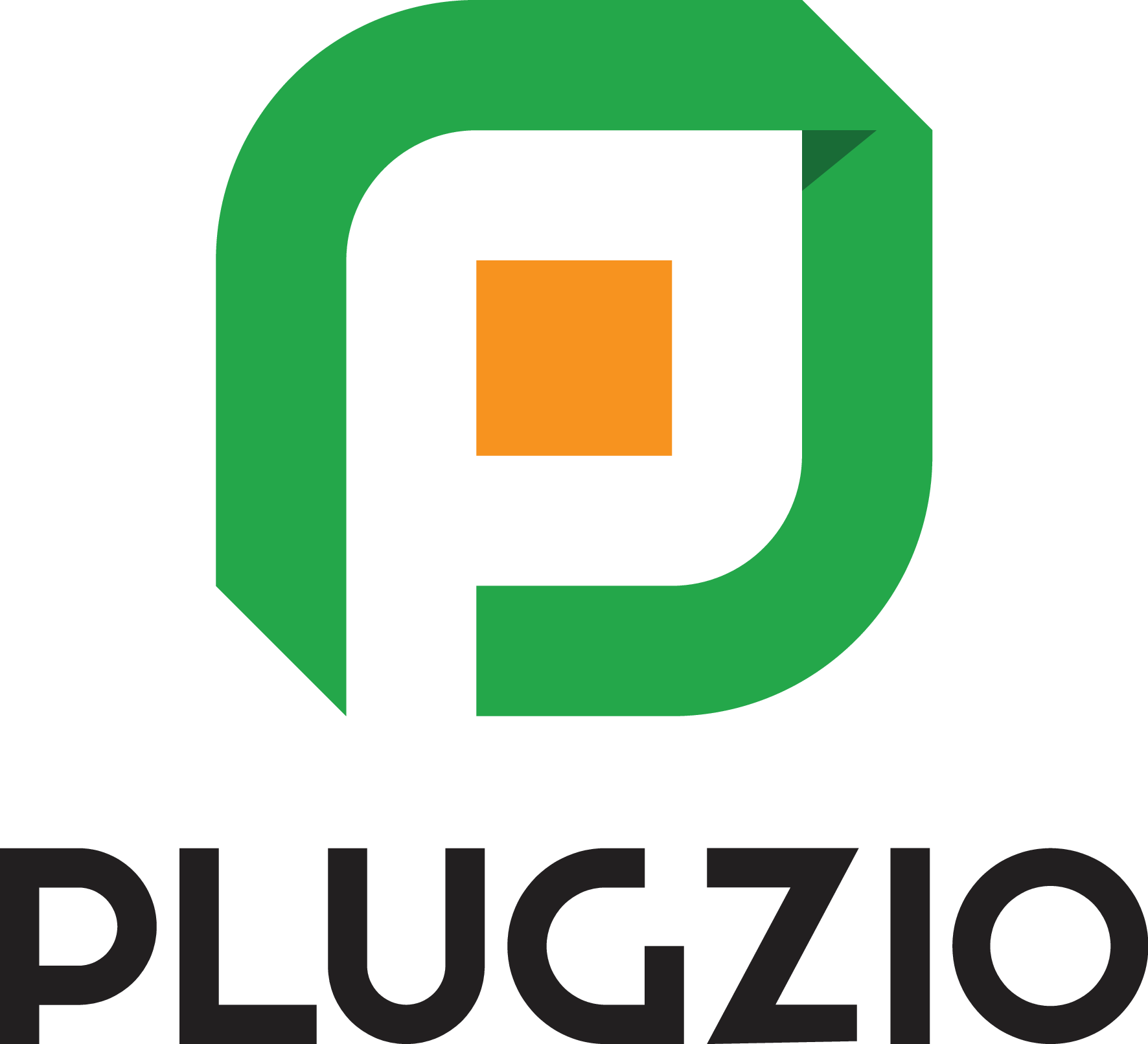 Plugzio Wordmark + icon — Colour
