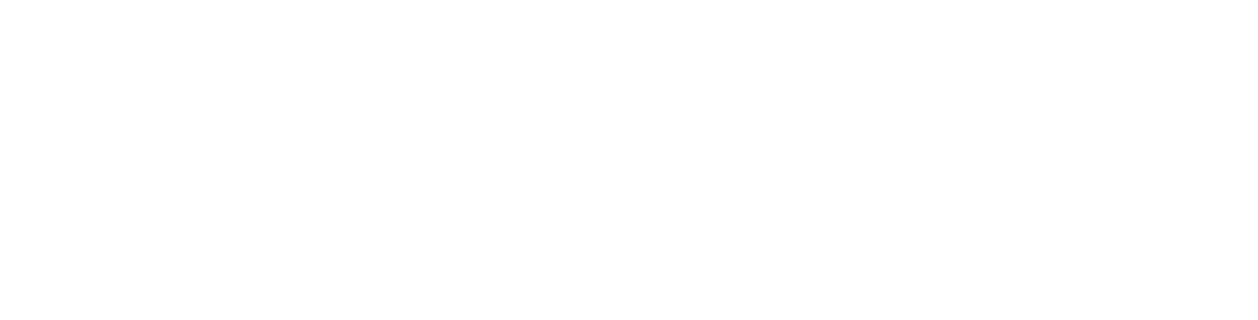 Plugzio Horizontal wordmark — Reversed white